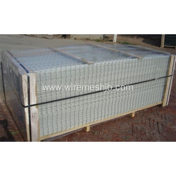 Hot Dipped Galvanized Welded Wire Mesh Panel